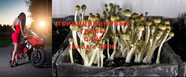винт Бугульма