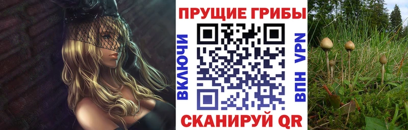 где купить наркотик  Пенза  Псилоцибиновые грибы прущие грибы 